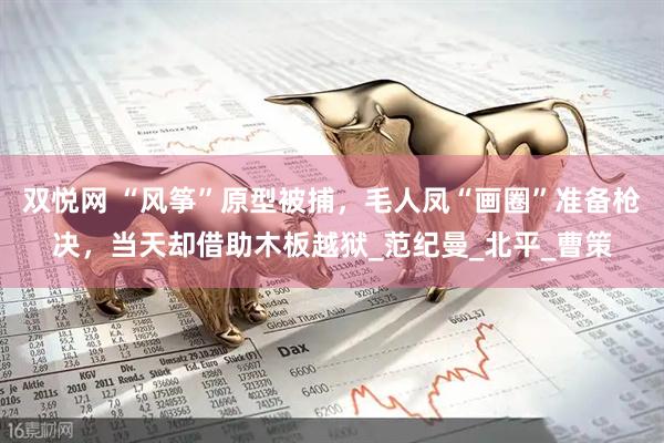 双悦网 “风筝”原型被捕，毛人凤“画圈”准备枪决，当天却借助木板越狱_范纪曼_北平_曹策